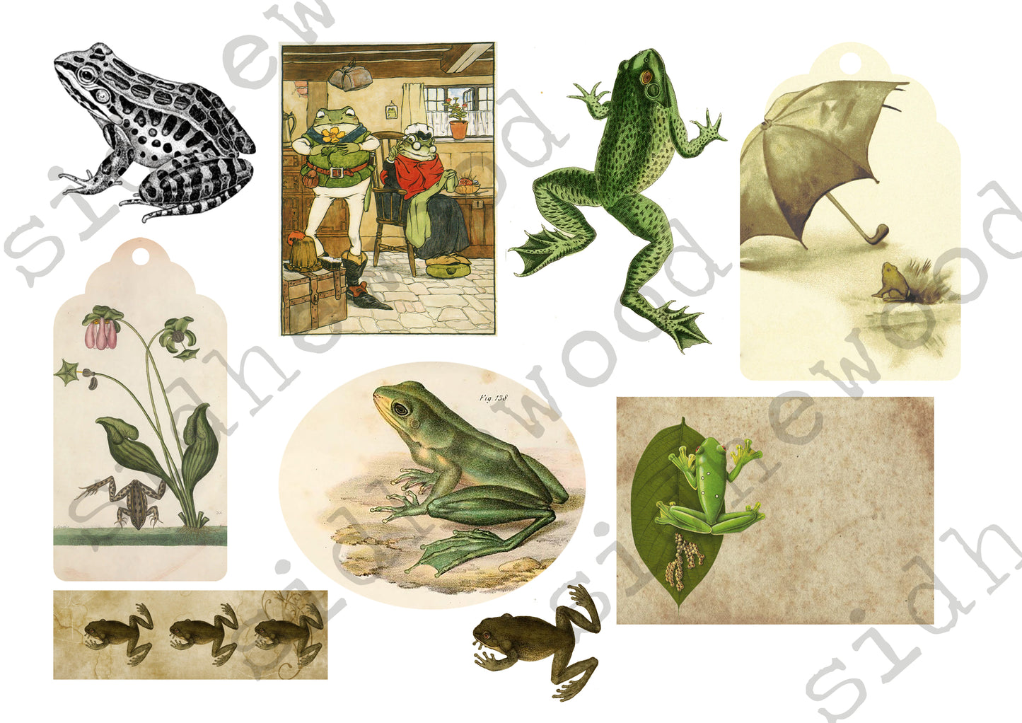 Frogs - digital download (printable file)
