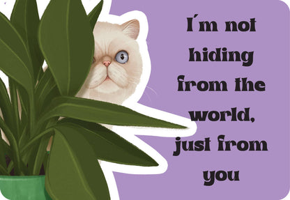 Cattitude