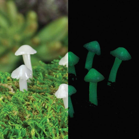 Mini Glow Mushrooms-set of 7 (Fiddlehead) Fairy Garden