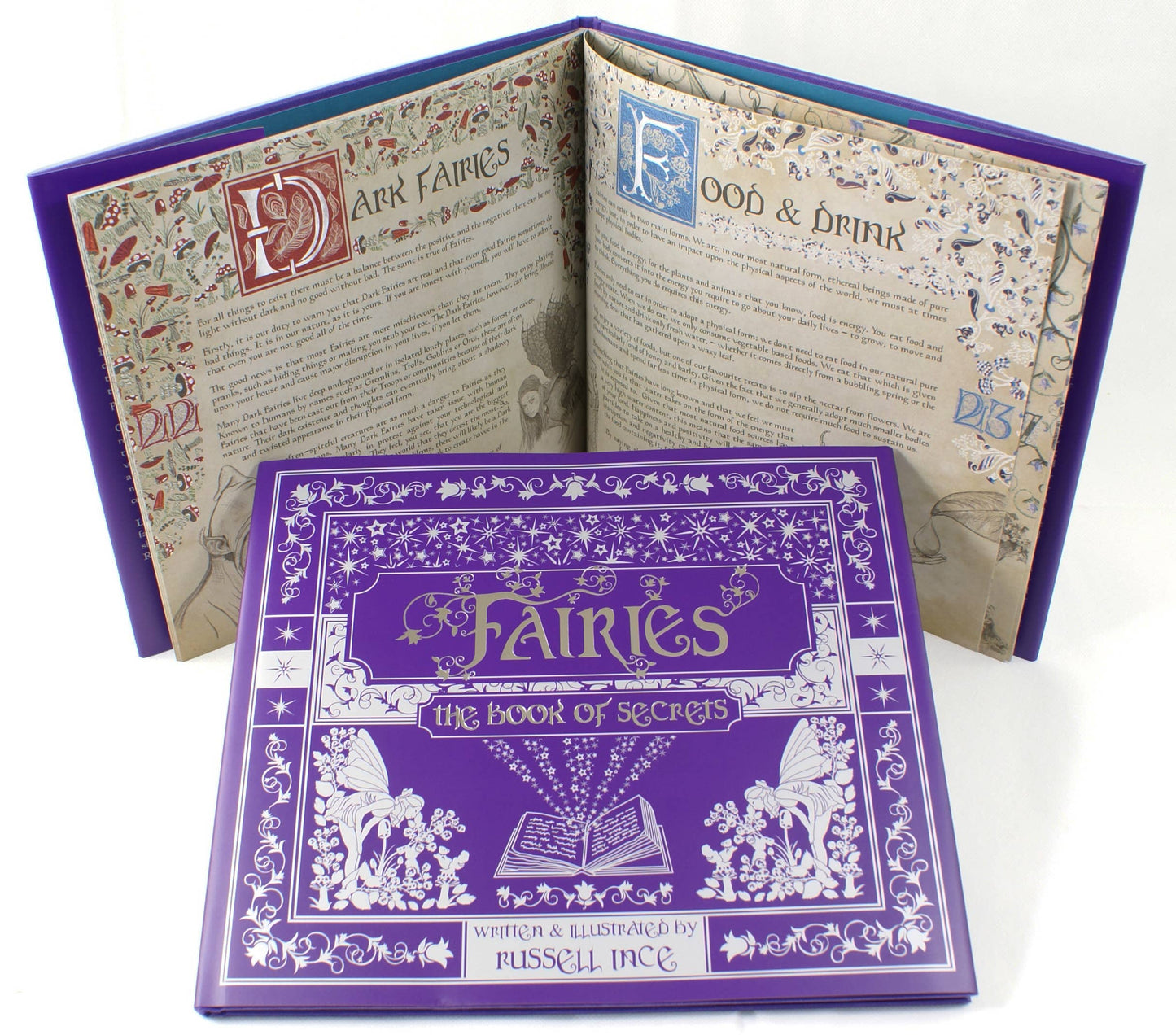 Fairies: The Book Of Secrets