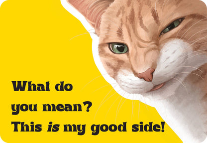 Cattitude