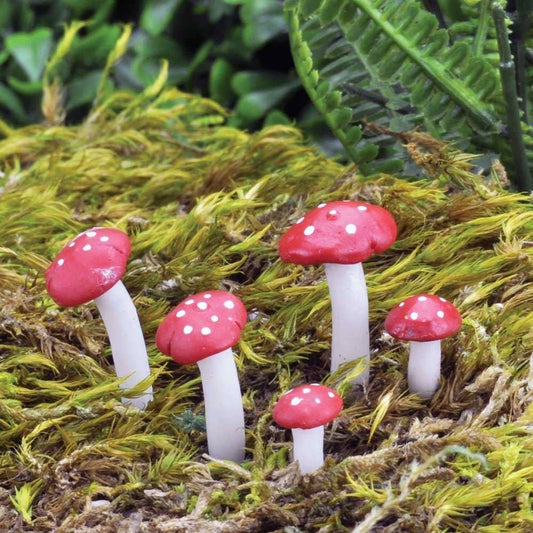 Mini Fly Agaric Mushrooms 5pk for Fairy Garden