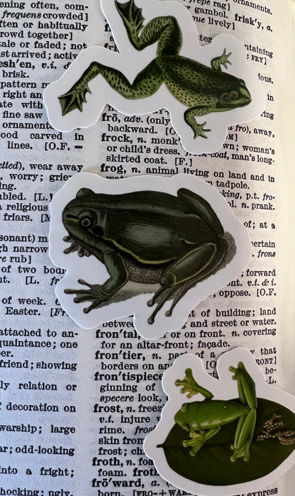 Frogs - 10 x stickers