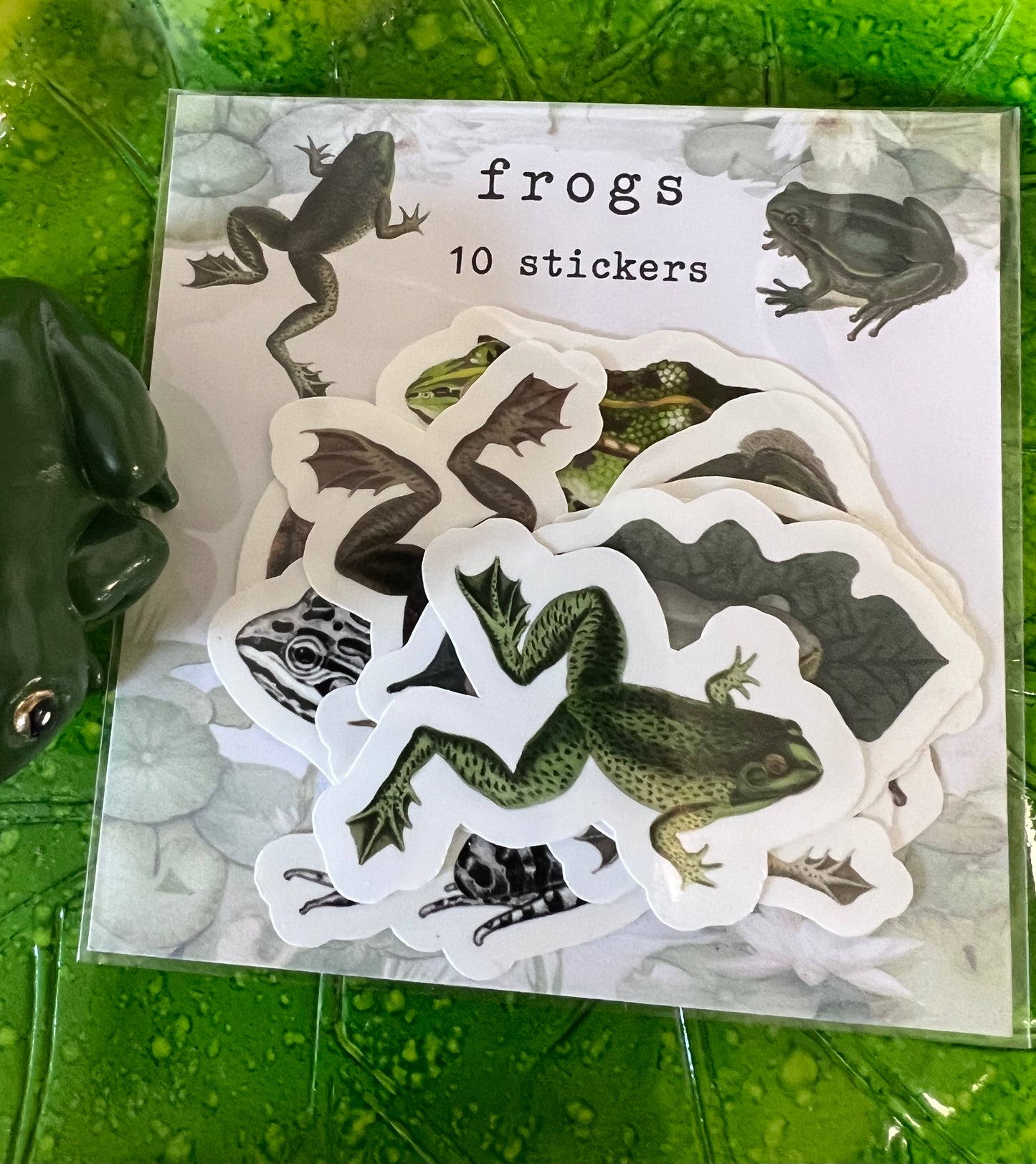 Frogs - 10 x stickers