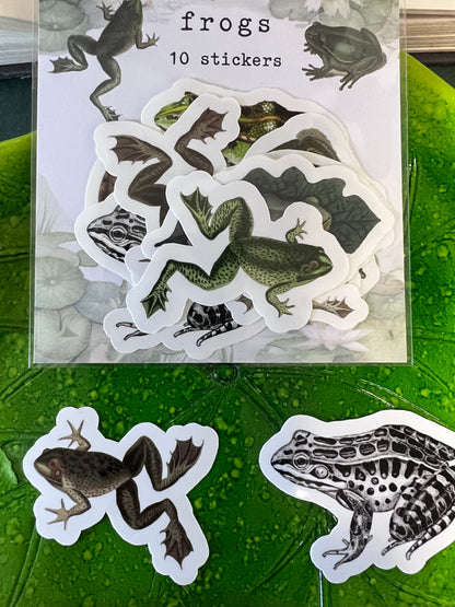 Frogs - 10 x stickers