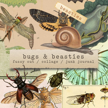 bugs & beasties - digital download (printable file)