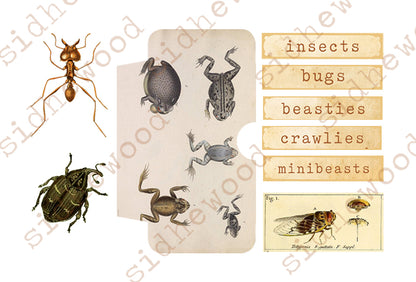 bugs & beasties - digital download (printable file)