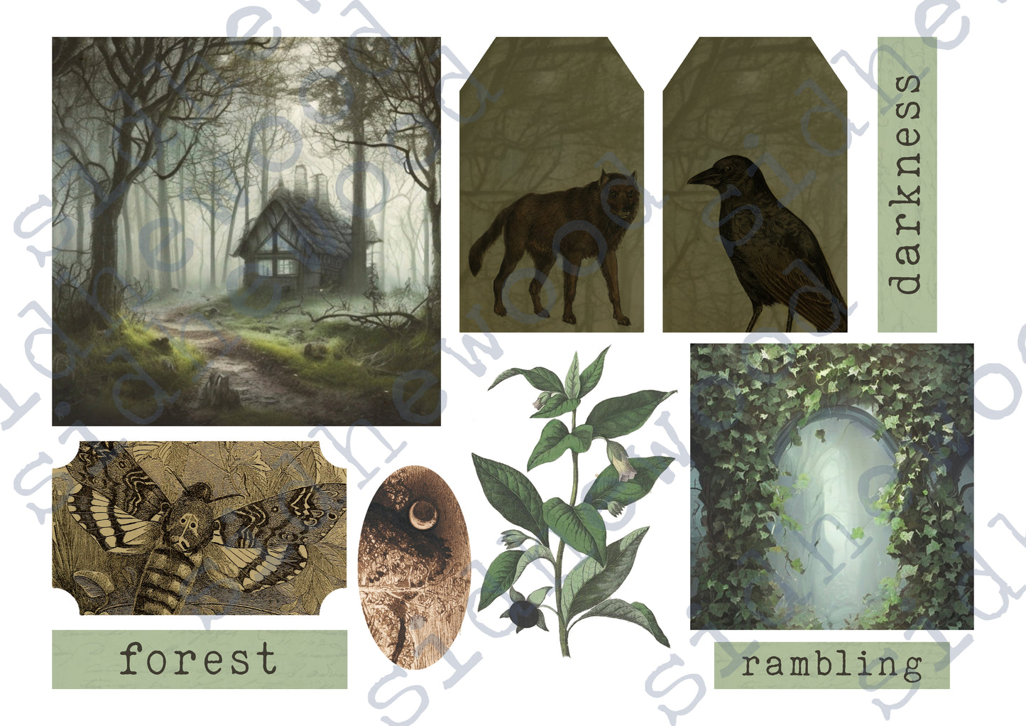 Dark Forest - digital download (printable file)