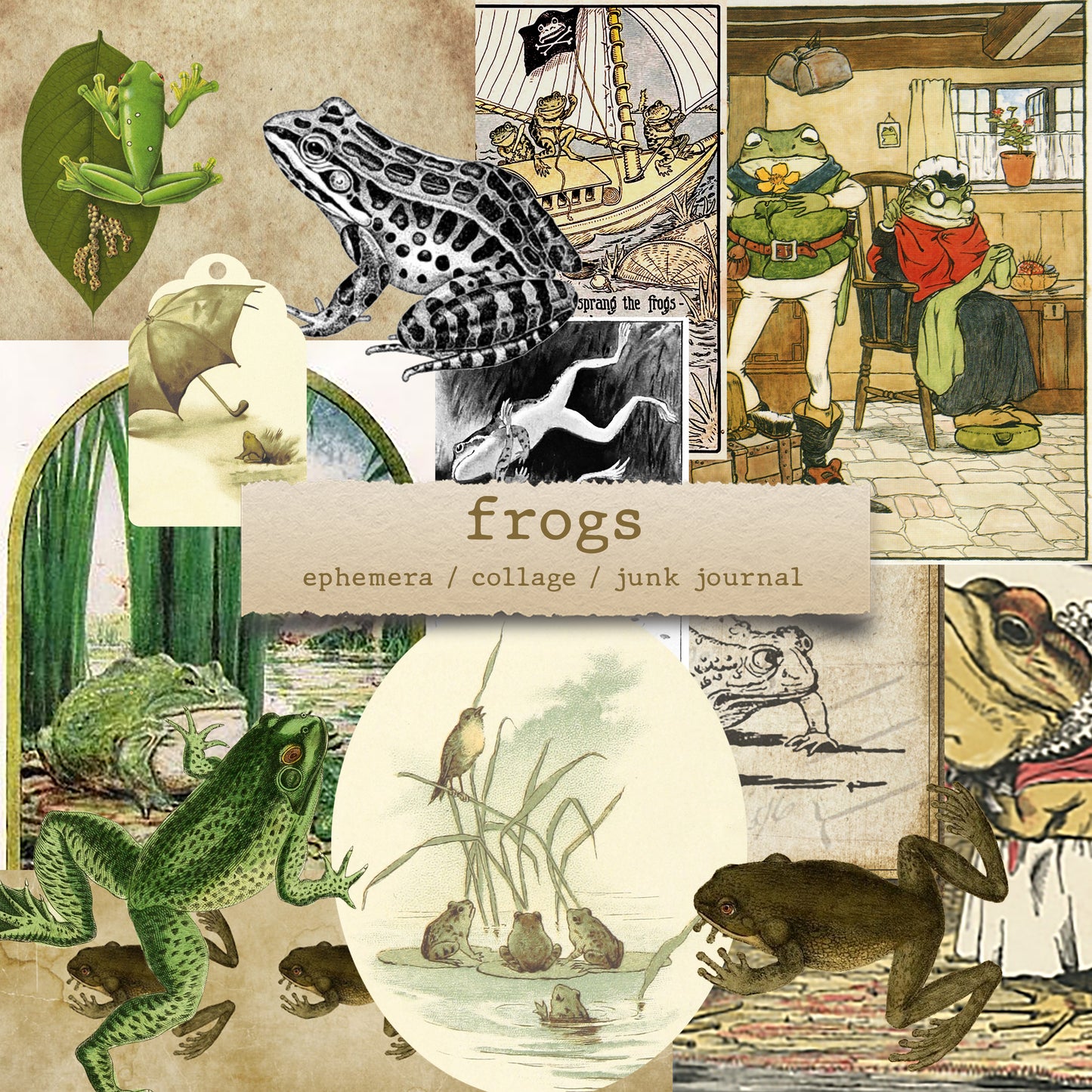 Frogs - digital download (printable file)