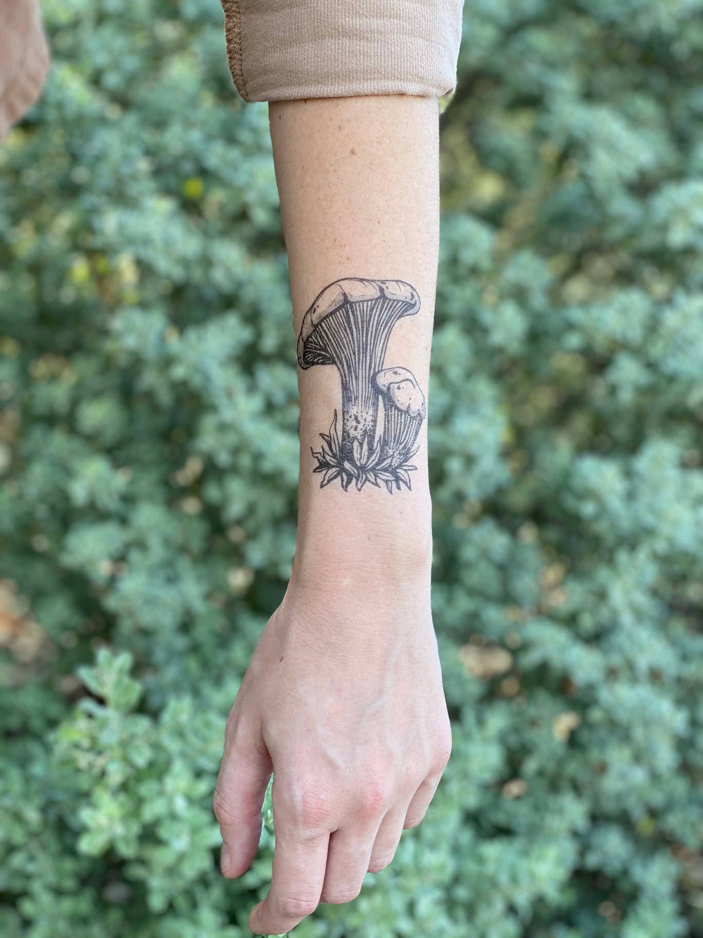 Chanterelle Mushroom - Temporary Tattoo