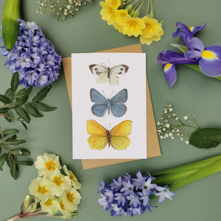 Greeting Card - butterflies