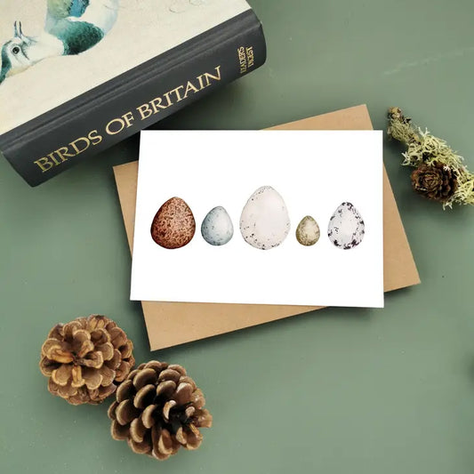 Greeting Card - egg study