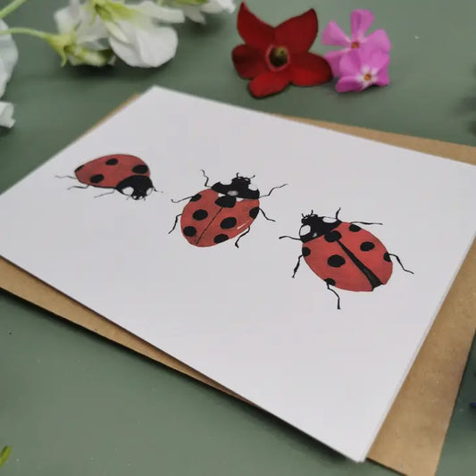 Greeting Card - ladybirds