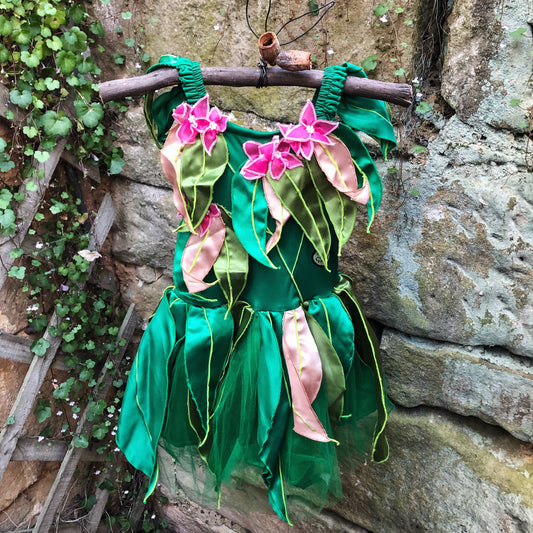 May Gibbs Boronia Babies Fairy dress