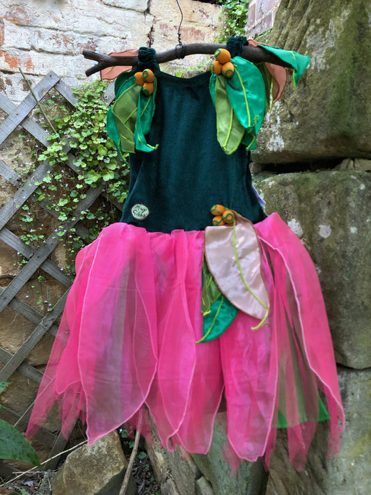 May Gibbs Ragged Blossom Fairy dress